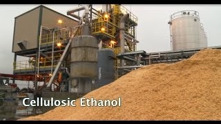 Renewable Biofuels and Biochemicals Cellulosic Ethanol [upl. by Nehtanhoj]