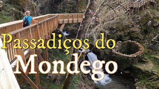 Descobrindo os Passadiços do Mondego uma caminhada pela natureza [upl. by Yblok]