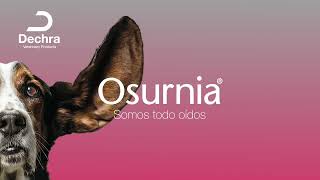 Tratamiento otológico para la otitis aguda en perros con Osurnia® [upl. by Anoerb]