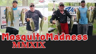 Fishing my First Mosquito Madness Bass Tournament  MMXIX  Mosquito Lake [upl. by Annaiek853]