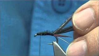 Tying the Flashback Prince Nymph by Davie McPhail [upl. by Shiri]