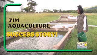 Sustainable Fish Farming in Zimbabwe Start Today 🌿 HowTo Guide [upl. by Luebke384]