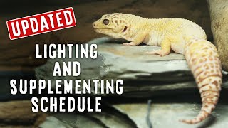 Leopard Gecko Lighting amp Supplements  WHAT I DO amp USE  UPDATED [upl. by Cosma]