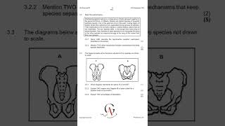 LIFE SCIENCES GRADE 12 PAPER 2 HUMAN EVOLUTION 2023 NW GET ANSWERED [upl. by Cordova]