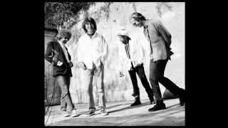 Traveling Wilburys  Tweeter And The Monkey Man  Lyrics [upl. by Ahseinaj]