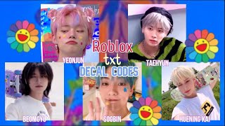 ROBLOX  TXT Decal Codes [upl. by Ramirolg338]