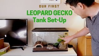 Our first LEOPARD GECKO TANK SETUP [upl. by Deehahs]