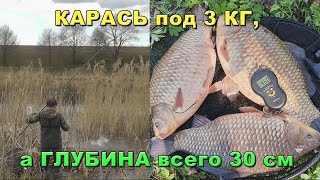 Я таких карасей еще не ловил Охота на карася под 3кг [upl. by Gridley982]