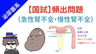 【国試対策】急性腎不全と慢性腎不全 [upl. by Obrien]