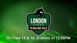 2024 London Classic Yearling Sale  Day 1 [upl. by Arocahs]