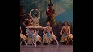 La Bayadère Gamzatti Variation  Marianela Nunez [upl. by Esihcoc]