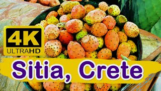 Sitia Crete  Greece travel guide 4K [upl. by Nahgen]