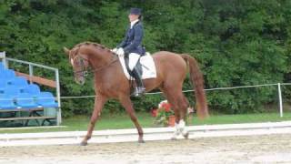 wwwreitschulesandbrinkde Bellagio Stallion Qualification Bundeschampionat Dressage [upl. by Trinl]