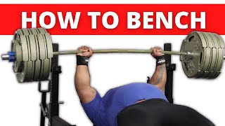 The ULTIMATE Bench Press Tutorial Feat Julius Maddox [upl. by Angeline]