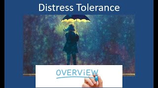 DBT  Distress Tolerance  Quick Overview of All Skills [upl. by Allac563]