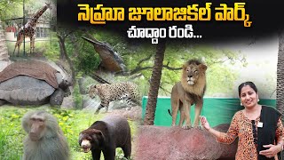 NEHRU ZOOLOGICAL PARK HYDERABAD  Complete Tour  Anchor Nirupama  SumanTV Telugu [upl. by Addiel930]