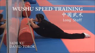 WUSHU SPEED TRAINING [upl. by Atilol901]