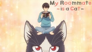 My Roommate is a Cat  Opening  Unknown World [upl. by Anilemrac]