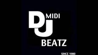 Dj Midi Beatz Steelo Remix Stem 702 [upl. by Virg]