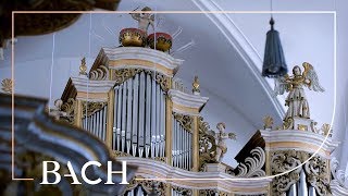 Bach  Fantasia and fugue in C minor BWV 537  Wiersinga  Netherlands Bach Society [upl. by Airogerg115]