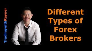 Forex Trading for Beginners 11 The Different Types of Forex Brokers by Rayner Teo [upl. by Nitnilc]