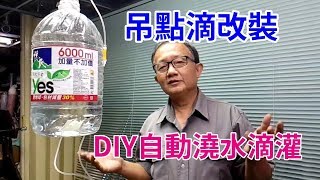 絕對超強 DIY自動澆水滴灌 外出不怕植物缺水了 [upl. by Deena]