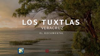 Los Tuxtlas Veracruz El documental [upl. by Weidner]