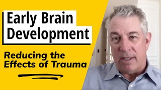 Dr Bruce Perry  Early Brain Development Reducing the Effects of Trauma [upl. by Saddler]