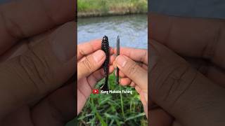 Diy Fishing tackle How to set Fishing bait fishing tutorial fishingtips knot fishingknot diy [upl. by Lorianne]