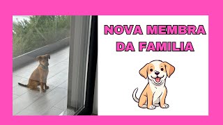 Nova membra da familia e a reação dos familiares [upl. by Ammadis]