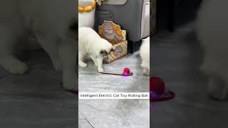 Can’t Stop Playing This Smart Cat Toy is a Game Changer [upl. by Eniluqaj]