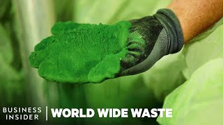 How Plastic Made With Algae Can Clean Waterways  World Wide Waste [upl. by Rehtse]