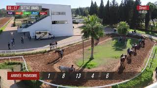 Live Hippodrome « SETTAT »  Courses du « 03112024 » [upl. by Nerro991]