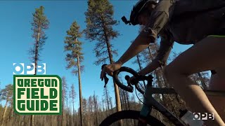 Tour An OnlyInOregon Highway Where Bikes Rule The Road  Oregon Field Guide [upl. by Zul468]