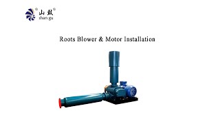 Roots Blower and Motor Installation Instruction Video [upl. by Dearr]