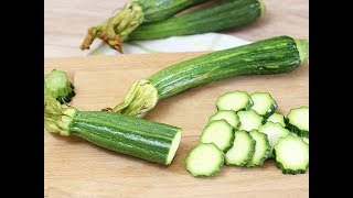 Zucchine Scopri le 10 Ricette Veloci e Sfiziose da Portarle in Tavola [upl. by Avram641]