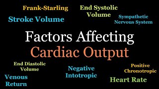 Factors Regulating Cardiac Output [upl. by Dabney]