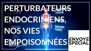 Envoyé spécial Perturbateurs endocriniens nos vies empoisonnées  3 mai 2018 France 2 [upl. by Nevil]