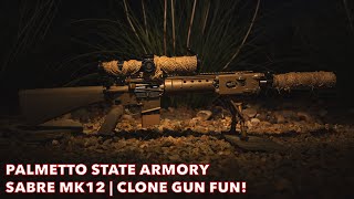 Sabre MK12  Palmetto State Armory [upl. by Chapa146]