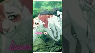 cloudtail and brightheart edit warriorcats warriors brightheart cloudtail [upl. by Aetnahs105]