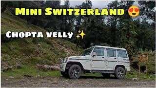 Chopta Uttrakhand 🇮🇳 Mini Switzerland India  भारत का स्विट्ज़रलैंड चोपता उत्तराखंड  चोपता उत्तराखंड [upl. by Delbert]