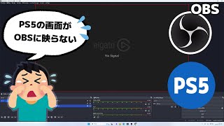 【PS5】HDCPをオフにする方法（OBSに映らない場合の対処！） [upl. by Behnken]