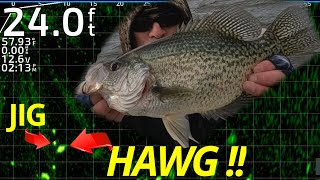 BIG WINTER CRAPPIE with LIVESCOPE [upl. by Silenay241]