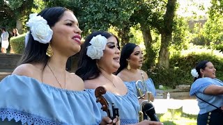 Las mańanitas con mariachi [upl. by Ienttirb]