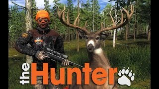 theHunter Classic  Whitetail Deer Hunting Guide 2020 [upl. by Ayahsal383]