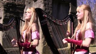 ZELDA Skyward Sword Ballad of the Goddess HarpTwins  Electric Harp [upl. by Nella]