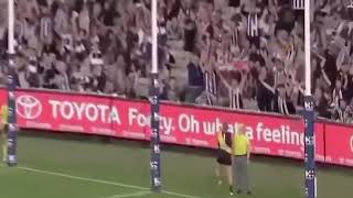 Mason Cox  Career Highlights [upl. by Cliffes]