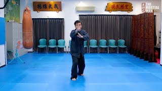 White Crane Kung Fu forms demonstrated by Master Richard Huang 黃正斌 [upl. by Tonnie]