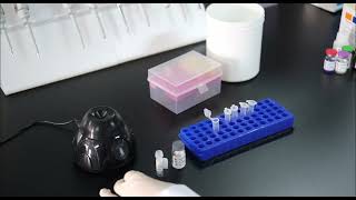 BT LAB OneStep ELISA protocol [upl. by Atiekahs301]