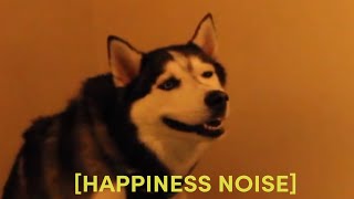 HILARIOUS Husky Sneeze  Happiness Noise Meme Compilation [upl. by Tatia]